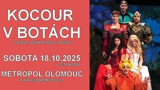 Kocour botách