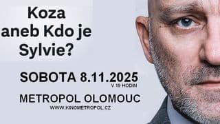 Koza, aneb kdo je Sylvie?